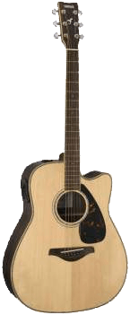 Steel String Acoustic Guitar